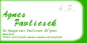 agnes pavlicsek business card